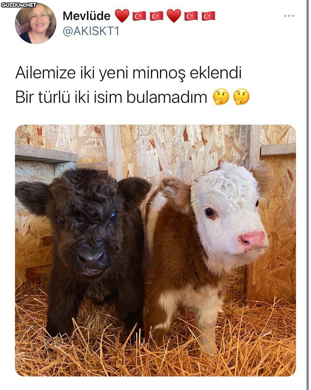 Cesur ve güzel olsun...