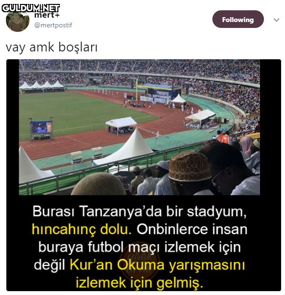 mert+ Following...