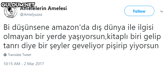 ANT Amelelerin Amelesi...