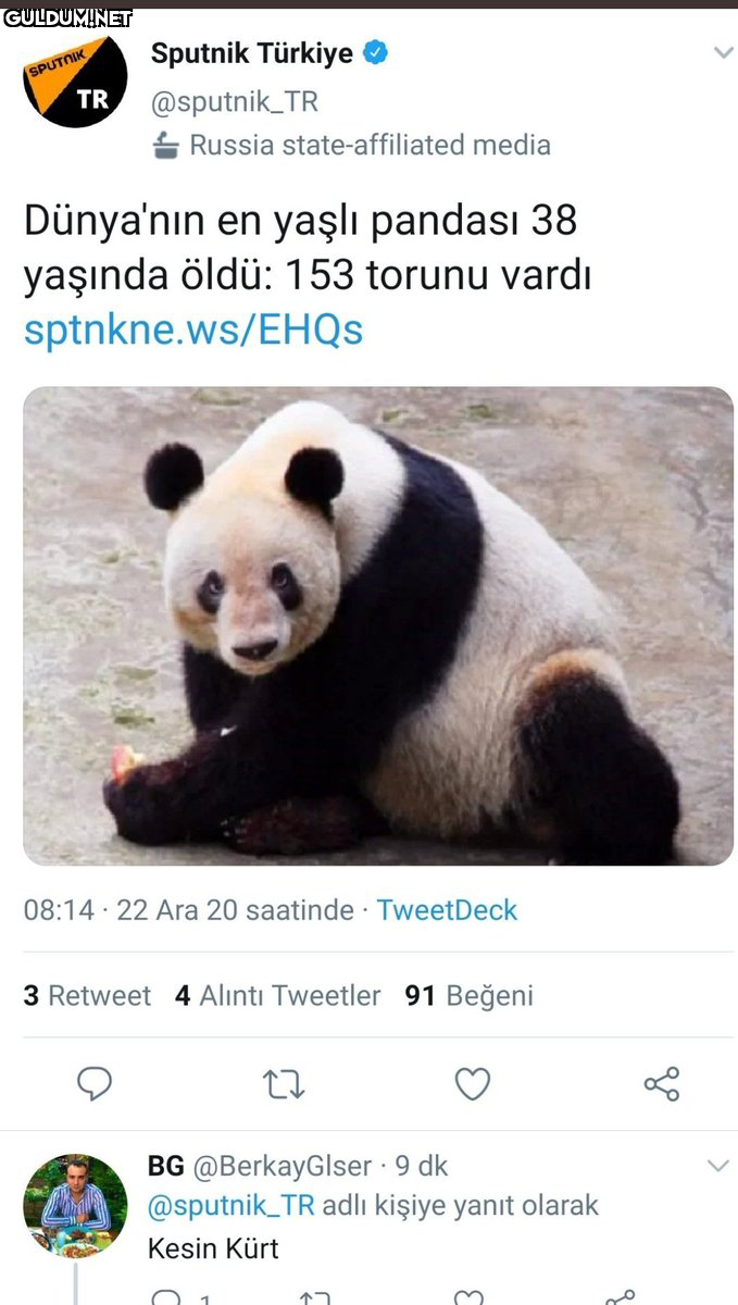 RT @mevzukurtlere1:  ...