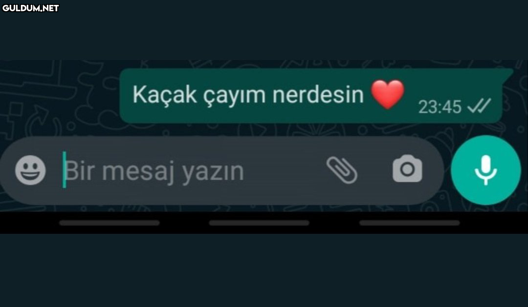 RT @mevzukurtlere1: Var bi...