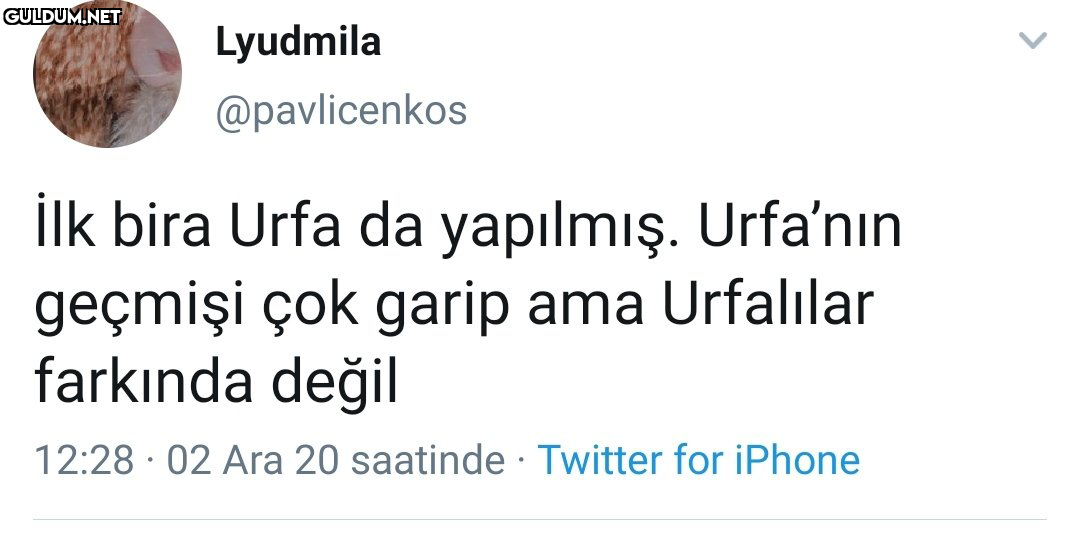 RT @mevzukurtlere1:  ...