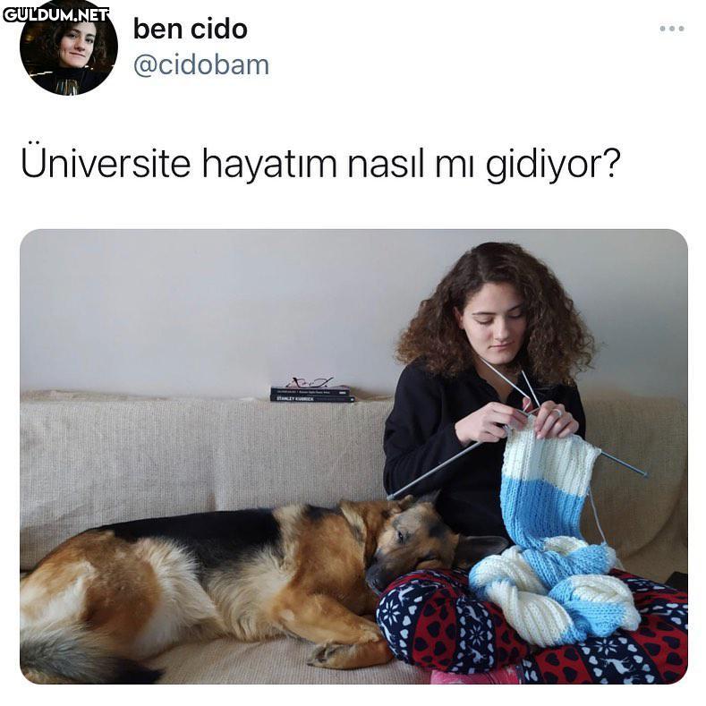 Harika bence ben cido...