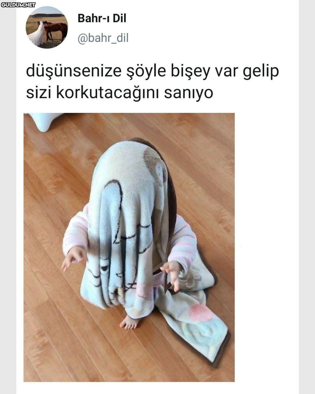 Bahr-ı Dil @bahr_dil...
