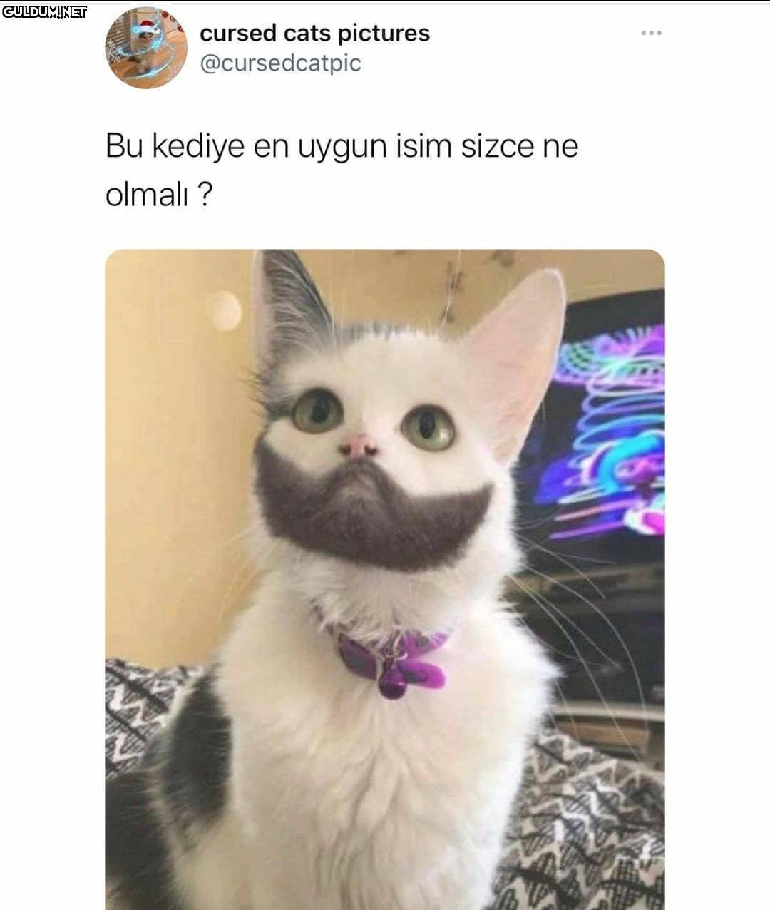 Cidden sizce ne olmalı🤔...