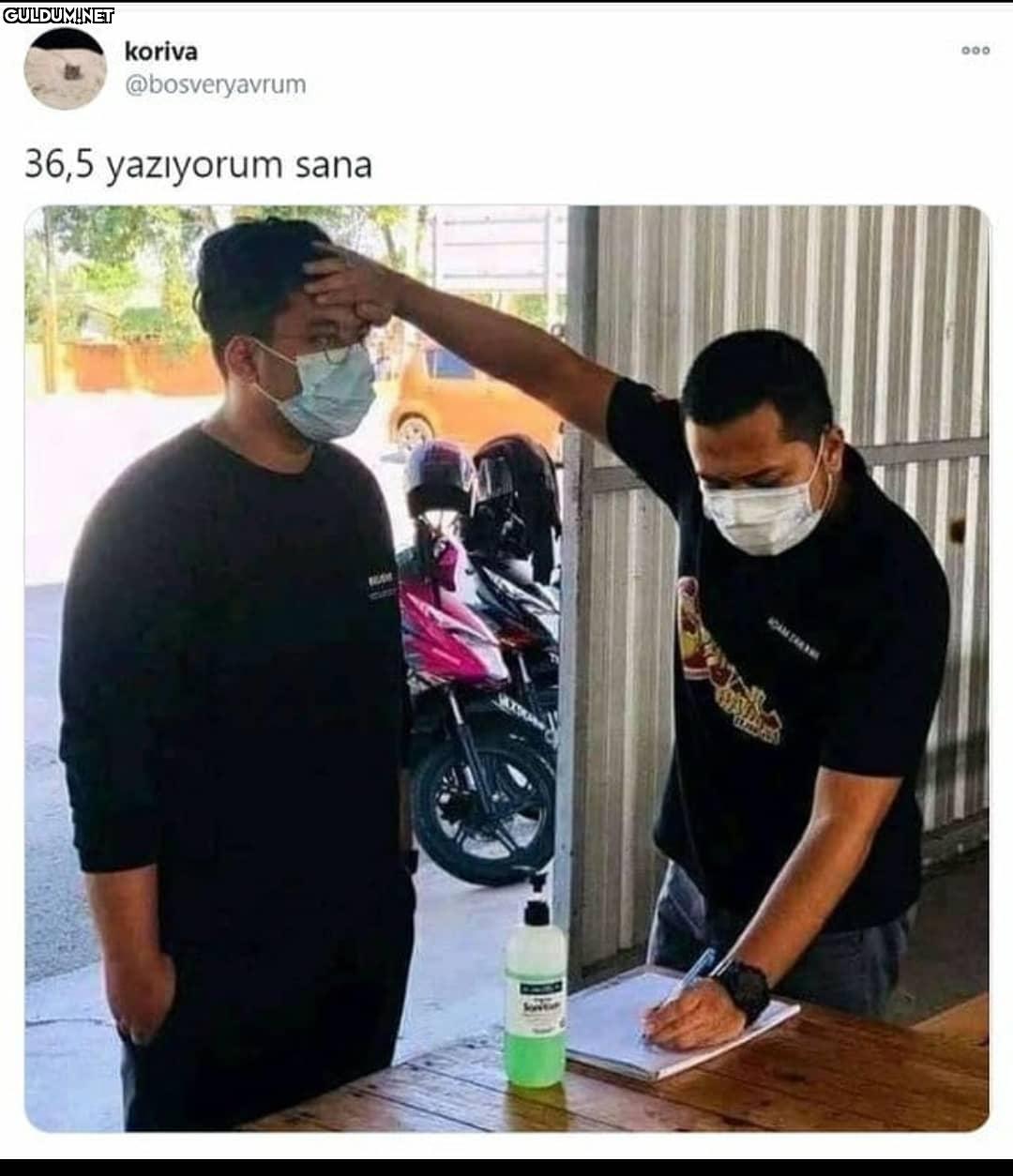 00 koriva @bosveryavrum...