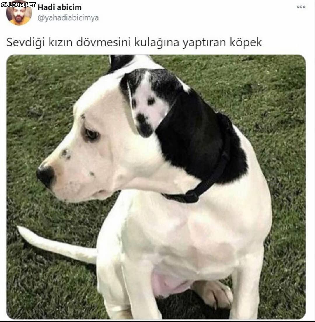 Hadi abicim 00....