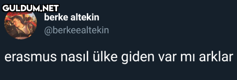 berke altekin...