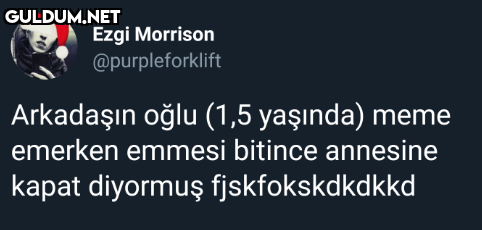 Ezgi Morrison...