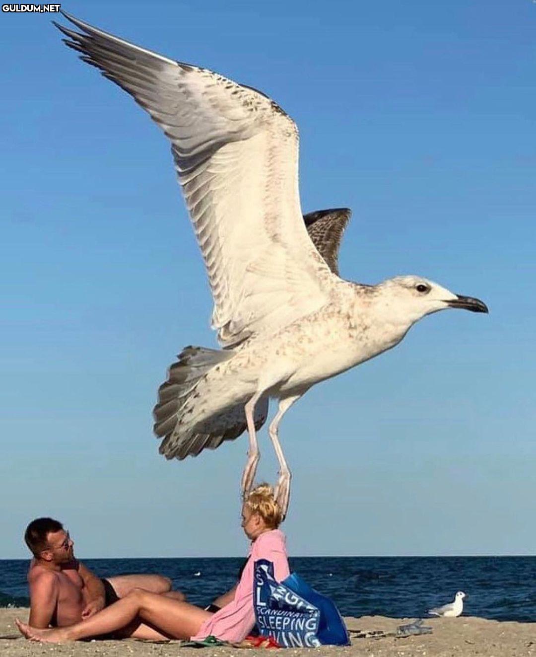 anlamsız fotoğraflar 333...