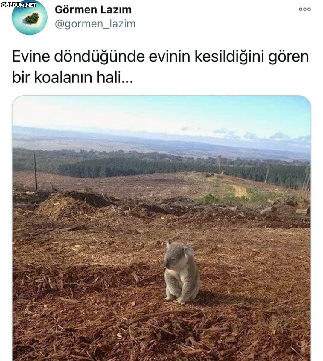 Görmen Lazım 00...