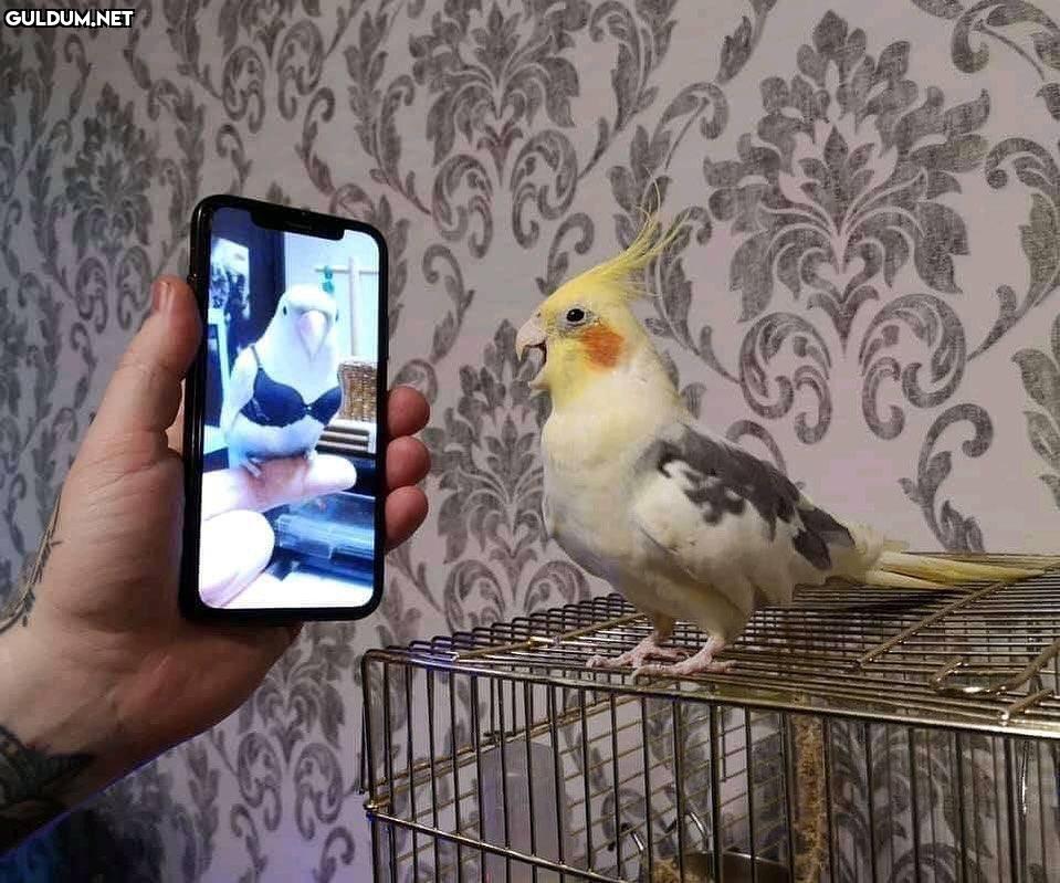 anlamsız fotoğraflar 3308  Kaynak