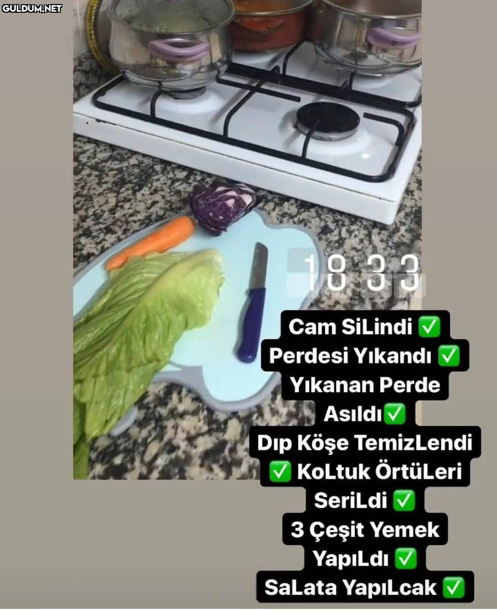 En iyi ev hanımı sensin...