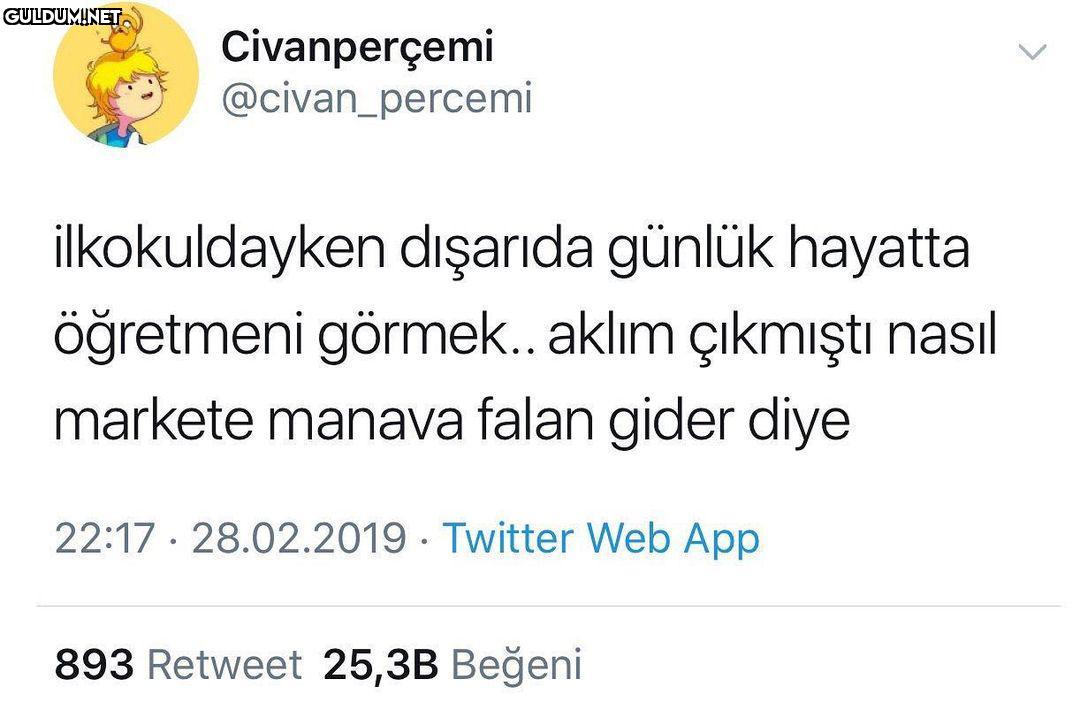 Civanperçemi...