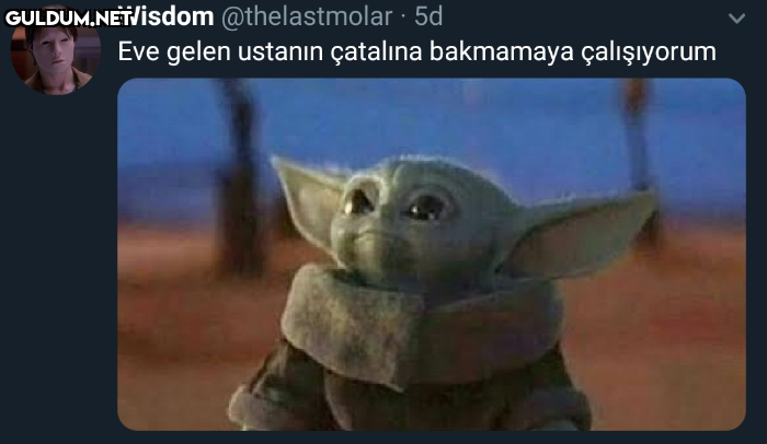 Wisdom @thelastmolar · 5d...