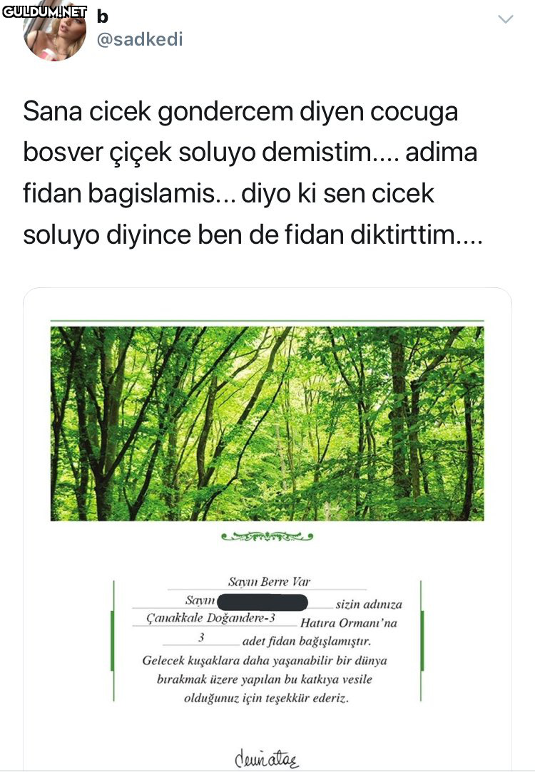 RT @AyaktaAlkis:   b...