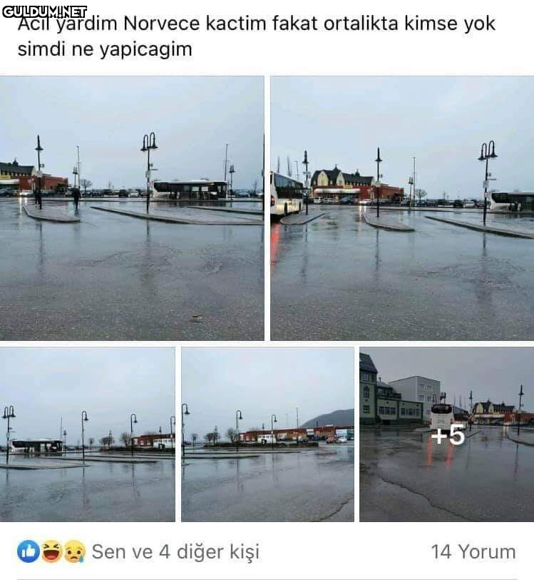 RT @incicaps: Norveç’e...