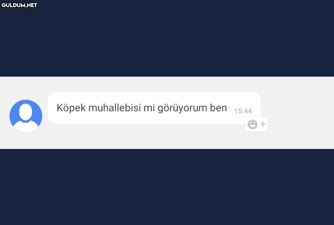 RT @necektinTDK:   Köpek...