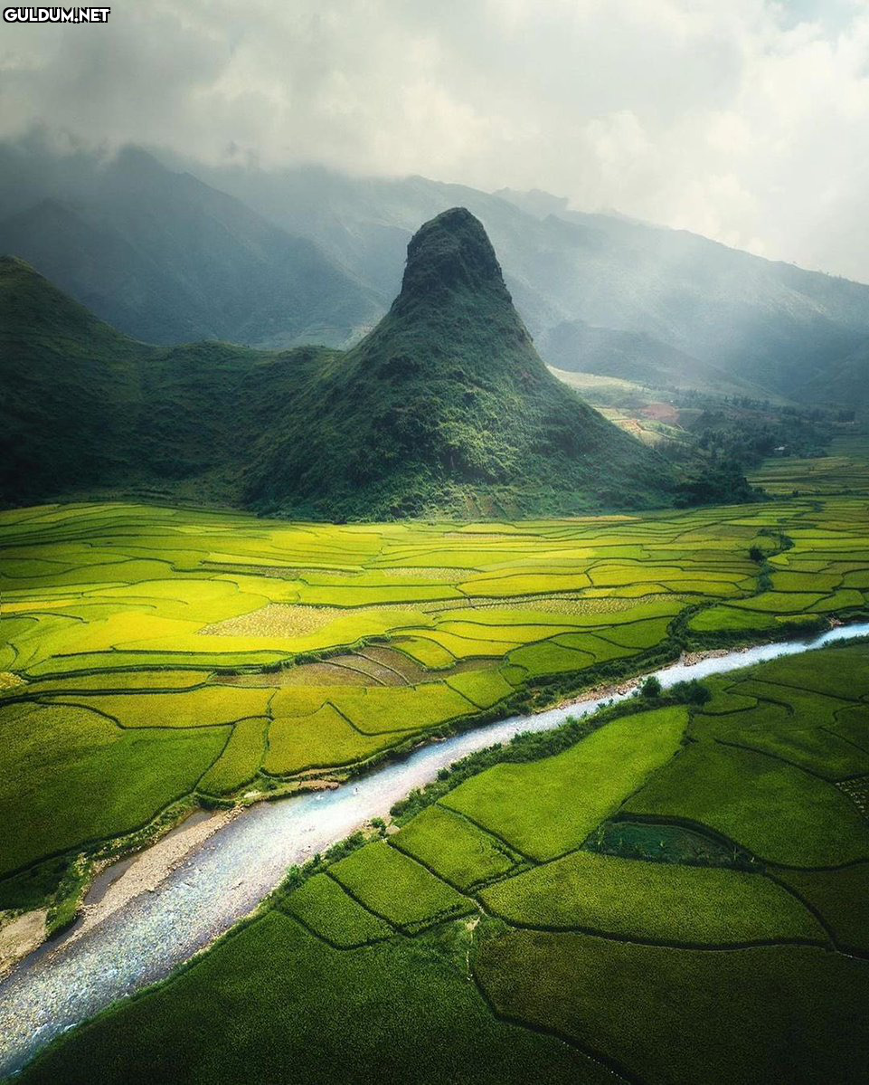 🇻🇳Vietnam    Kaynak