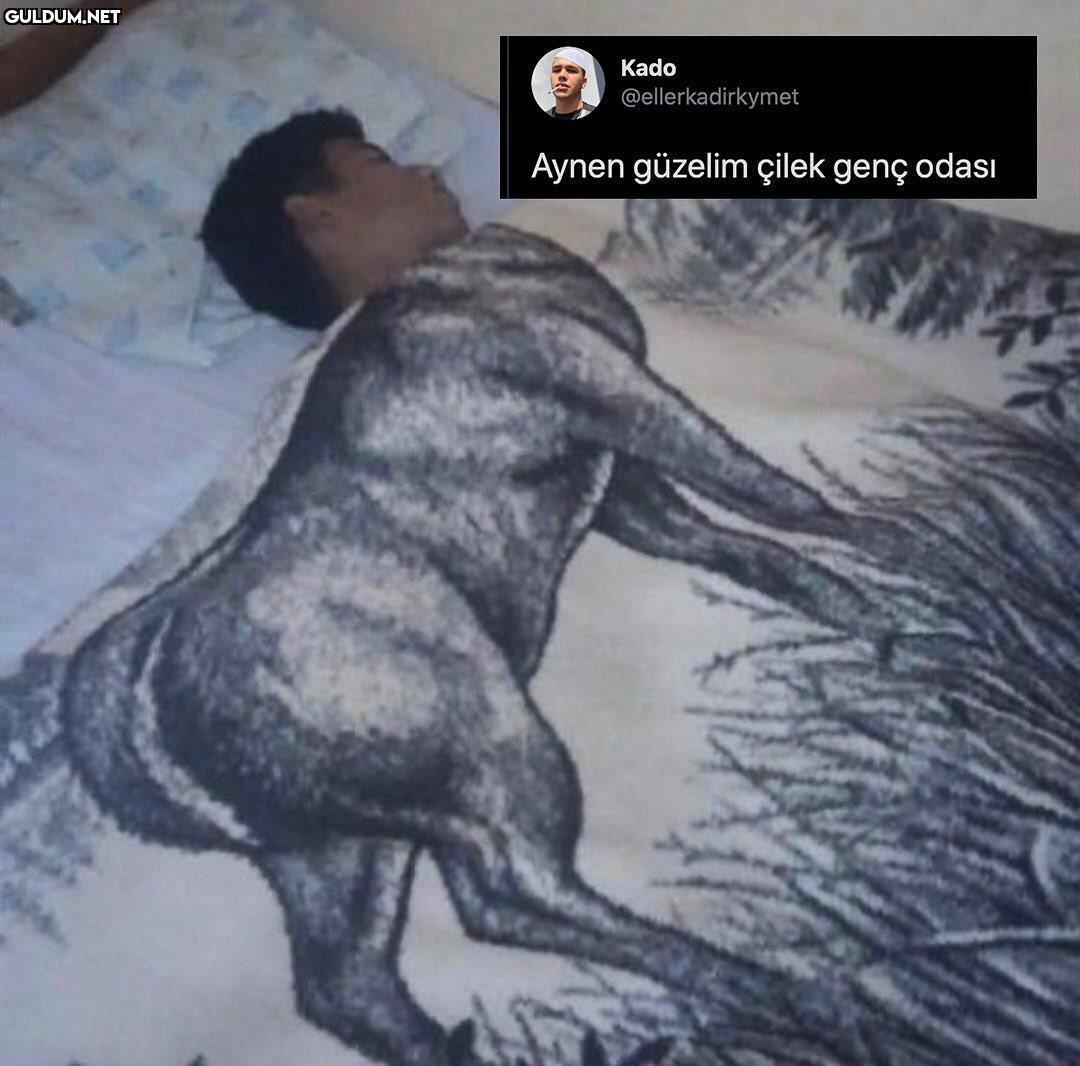 Çok iyi tasarım...djdjdjd...