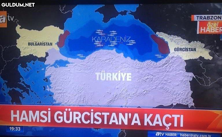 bir hamsi olarak elinden...
