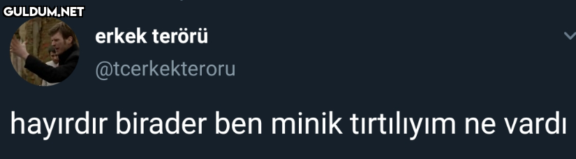 erkek terörü...