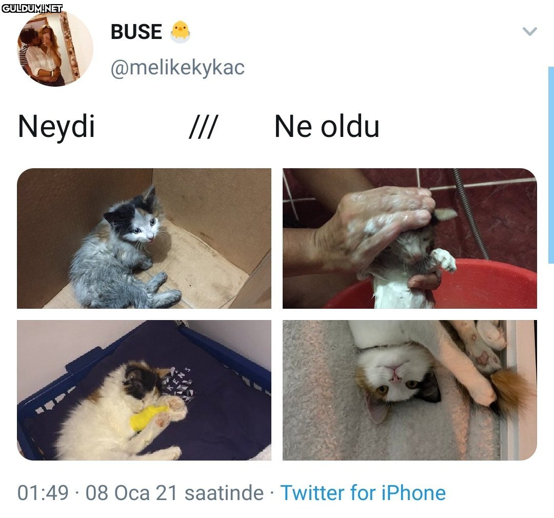 RT @AyaktaAlkis:   BUSE...
