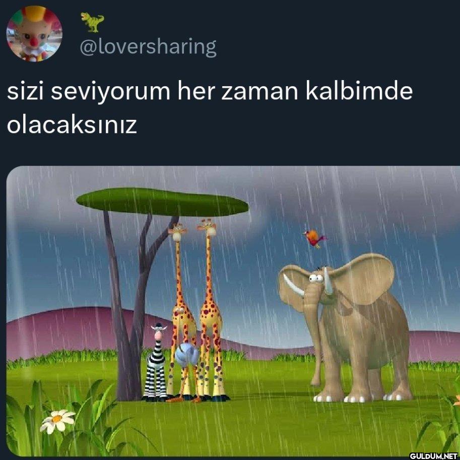 sizi seviyorum her zaman...