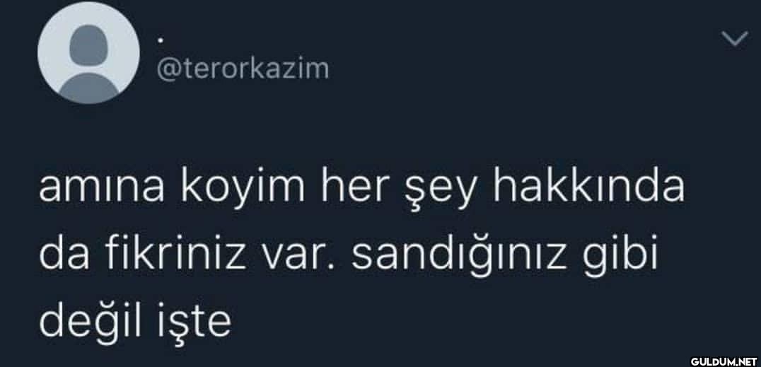 amına koyim her şey...