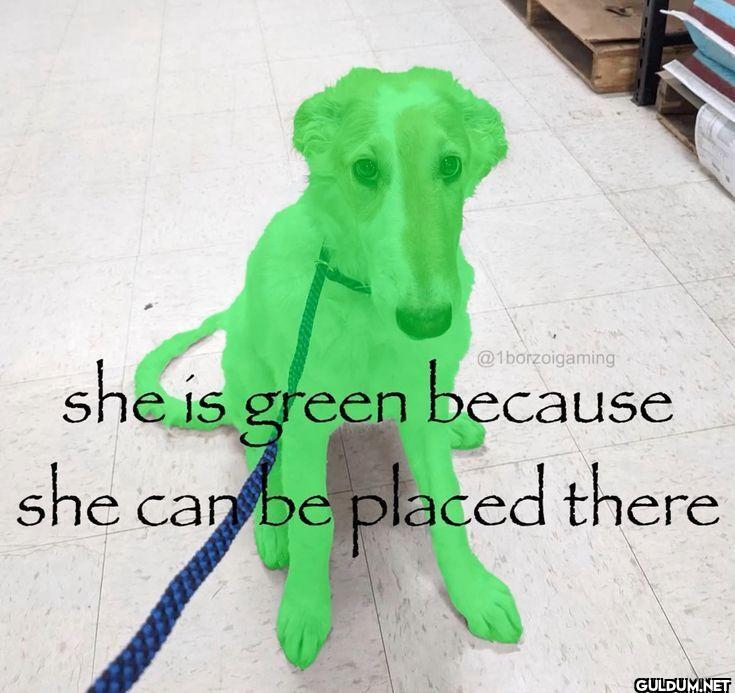she is green because she...