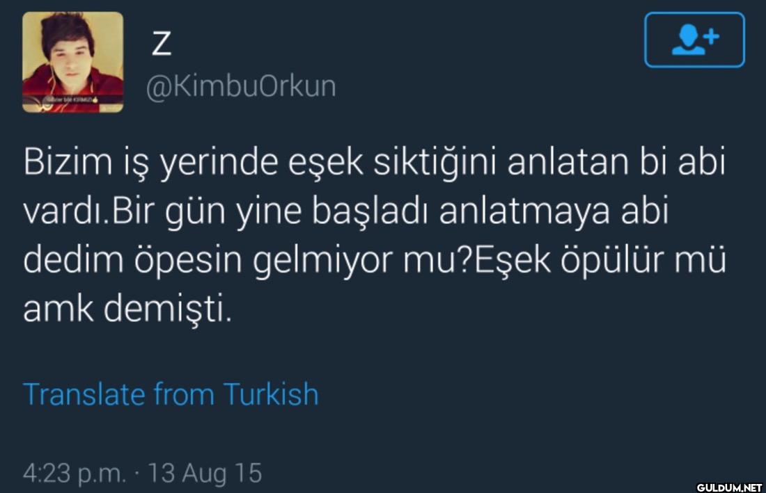 Bizim iş yerinde eşek...