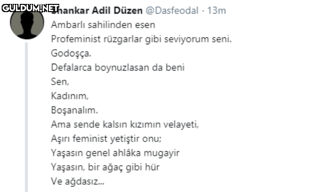 Shankar Adil Düzen...