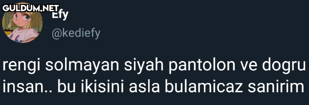 Efy @kediefy rengi...