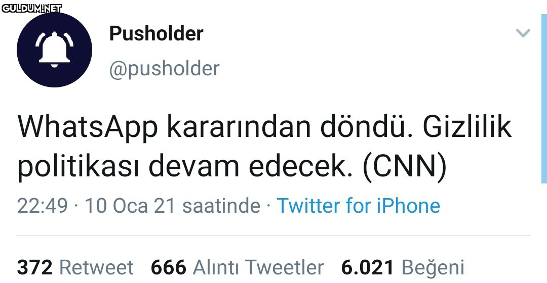 Pusholder @pusholder...