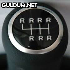@pusholder...