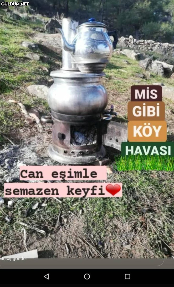 Mevlana'nın en sevdiği...