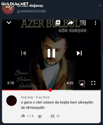 ferman doğanay...