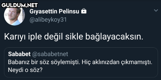 Gıyasettin Pelinsu Ôn...