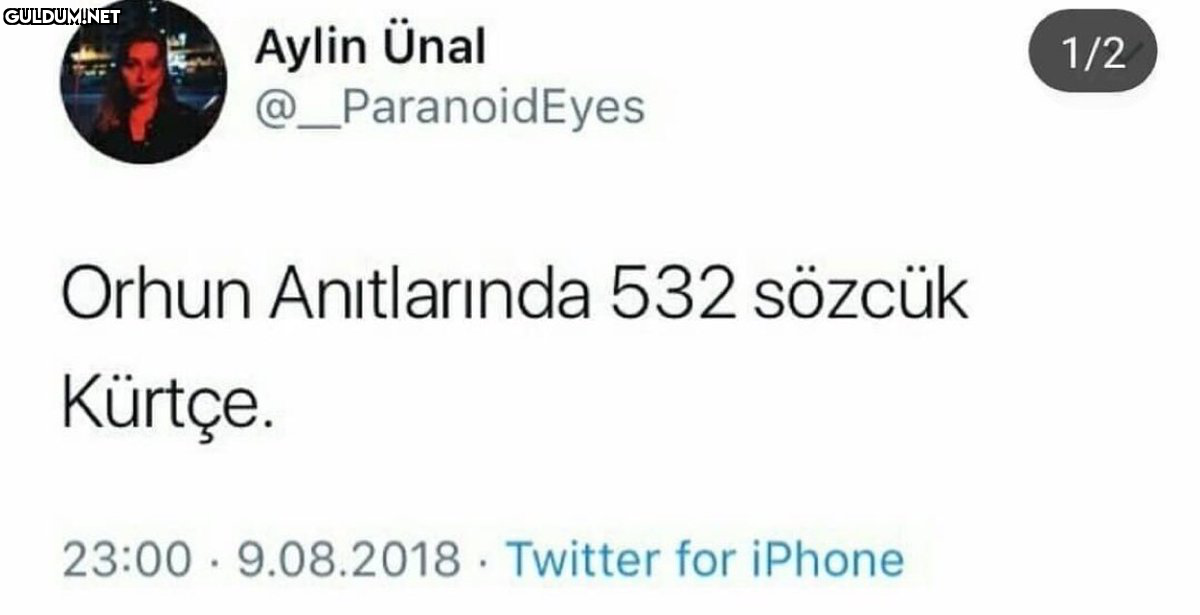 RT @mevzukurtlere1:...