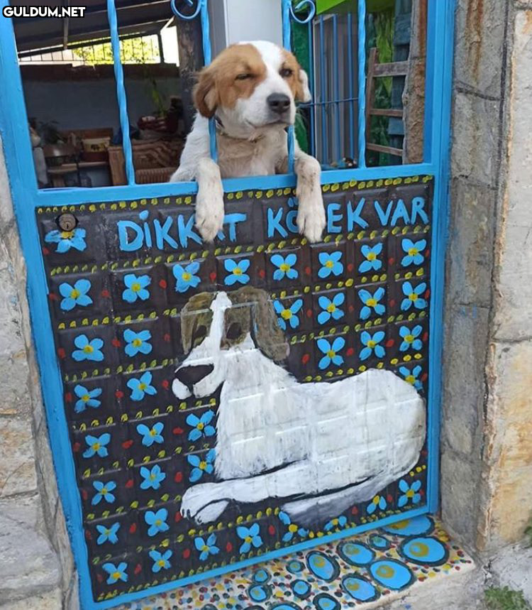 RT @AyaktaAlkis: Günaydın...