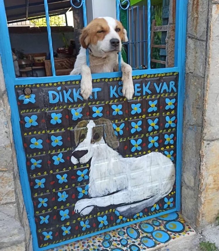 RT @AyaktaAlkis: Günaydın...