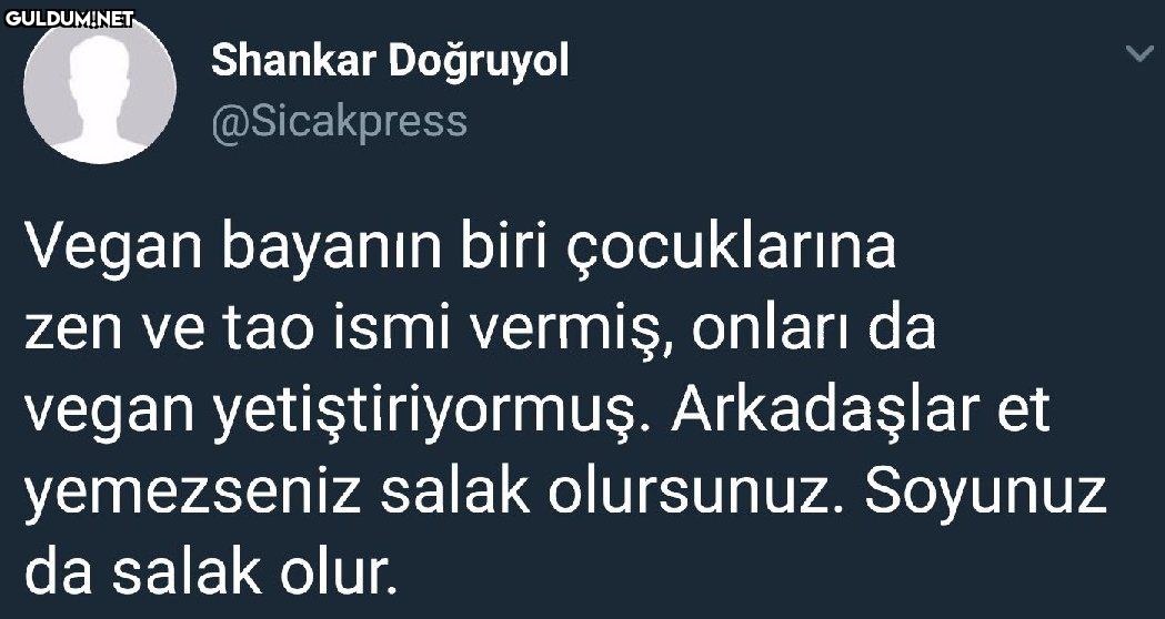 Shankar Doğruyol...