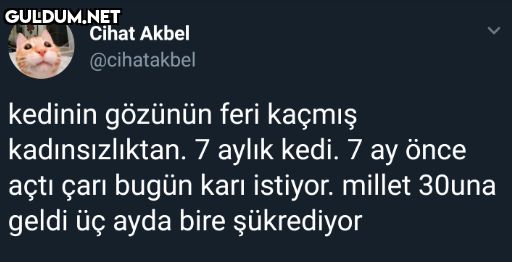 Cihat Akbel @cihatakbel...