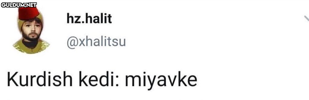 RT @mevzukurtlere1:  ...