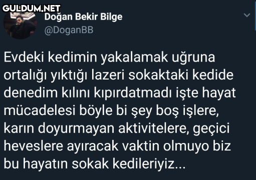 Doğan Bekir Bilge @DoganBB...