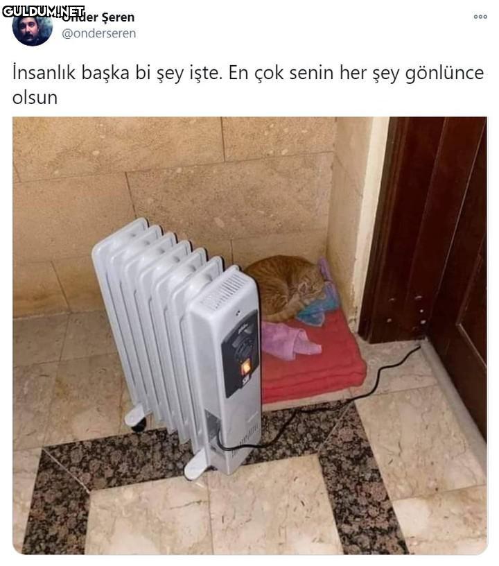 Önder Şeren @onderseren...