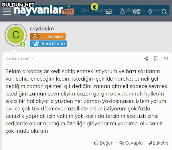 Ceyda sen tam bir malsın  ...