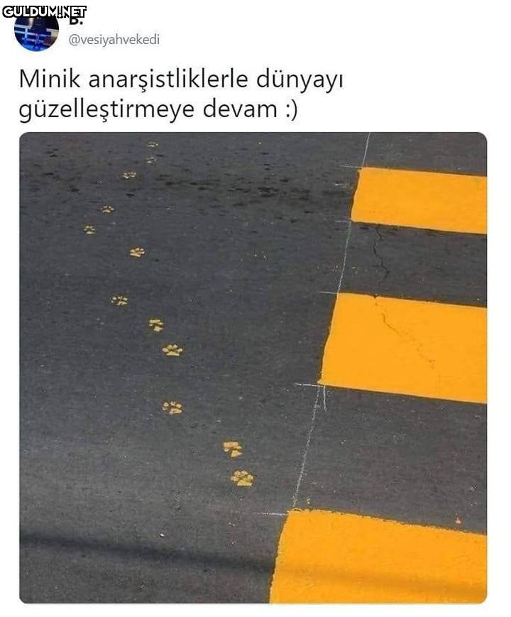 Popular post