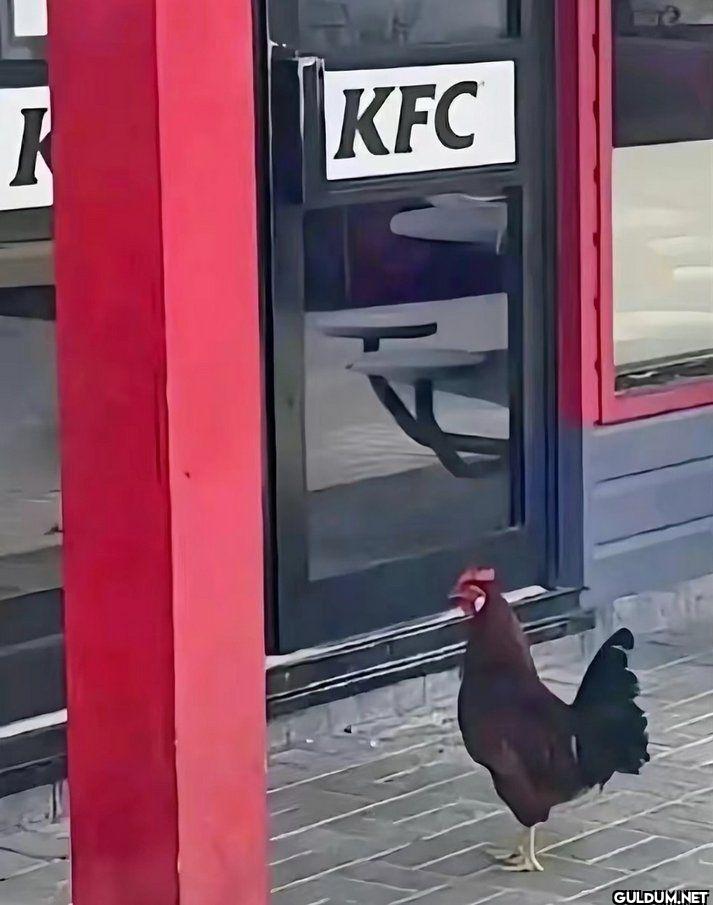 R KFC