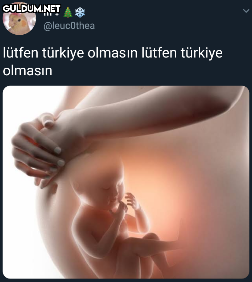 @leucOthea lütfen türkiye...